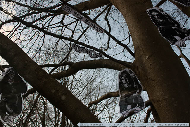 ★ Dansk Graffiti 1984-2013 ★ 179 Wise Monkeys... Print on paper and laminate by DoggieDoe and Motus - The Dark Roses - KUNSTEN, Aalborg Museum, Aalborg, Jutland, Denmark 23. March - 16. June 2013